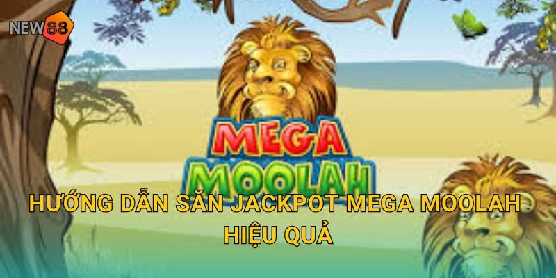 Hướng dẫn săn Jackpot Mega Moolah hiệu quả