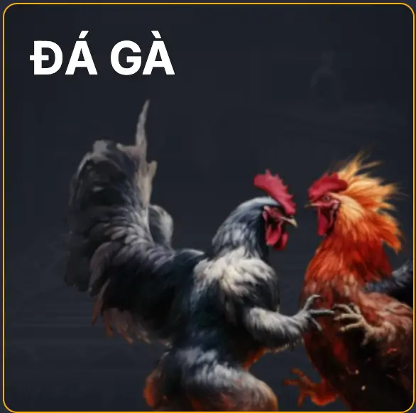 Trang chủ 29 Anh man hinh 2025 12 26 luc 9.50.13 SA 1